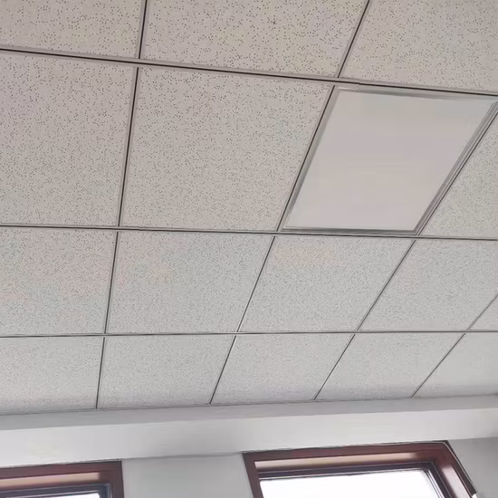 Fabbrica di Shenzhen dei prodotti acrilici per rettili più venduti